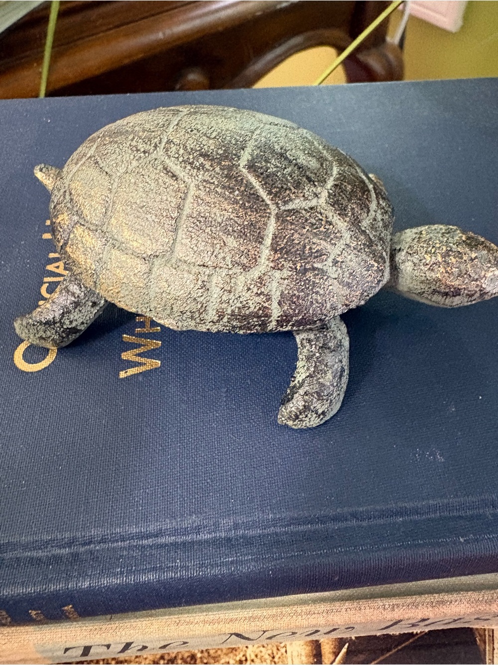 Decorative Turtle Cast Iron - Picture 2 of 3